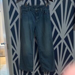 Cat & Jack Relaxed Fit Blue Jeans for Men